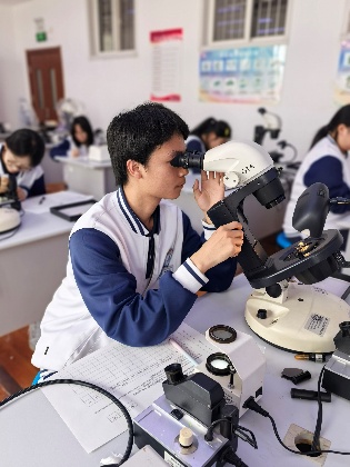 一群吉他的人
AI 生成的内容可能不正确。