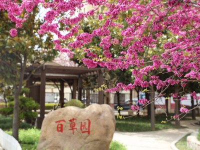 校园风光二